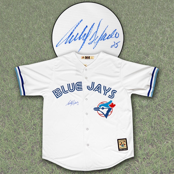 Carlos Delgado Toronto Blue Jays Autographed Retro MLB Baseball Jersey